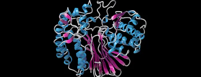 Gamma Glutamyl Transferase : γ-谷氨酰转移酶