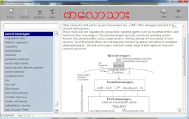 Medical Text Indexer : 医学文本索引器