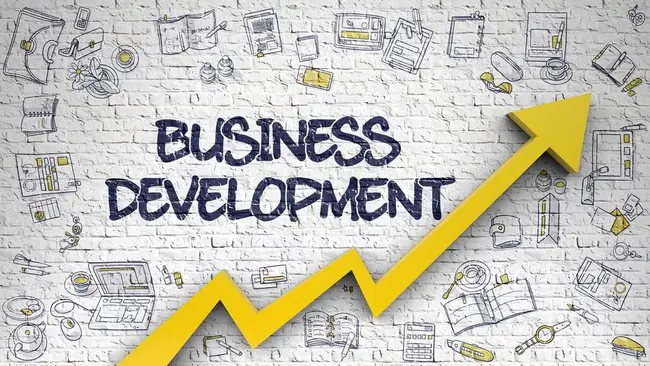 Entrepreneurship and Business Development : 创业与企业发展