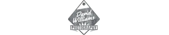David Williams Ellis : 大卫·威廉姆斯·埃利斯