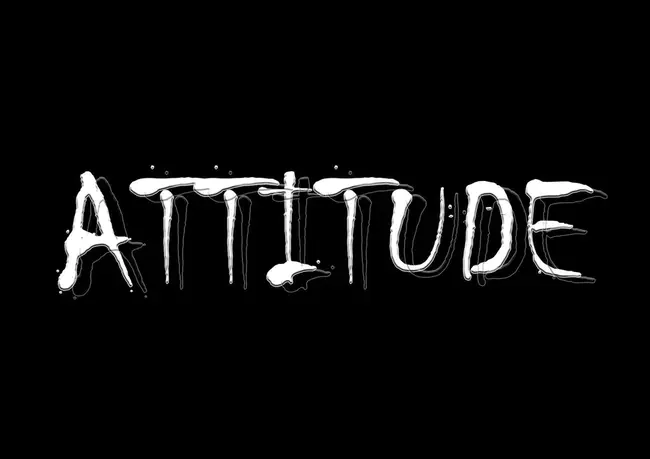 Attitude : 态度