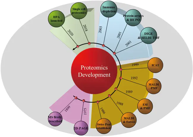 Proteomics and Metabolomics Facility : 蛋白质组学和代谢组学设施