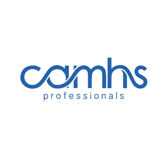 CAMHS Youth Advisors : Camhs青年顾问