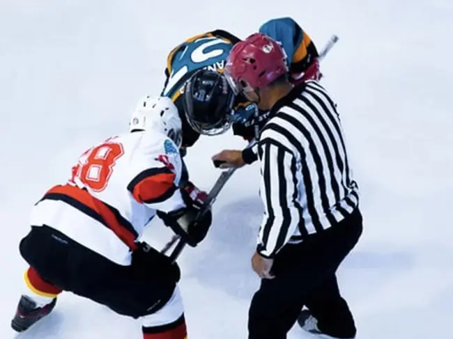 Hockey Féminin Outaouais : 女子曲棍球乌塔韦