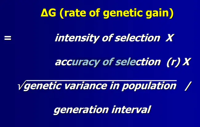 Hybrid Gain Control : 混合增益控制