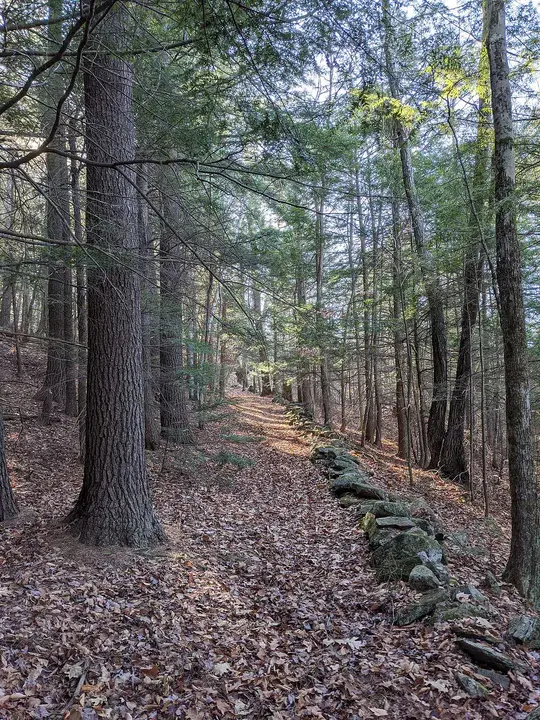 Monadnock Farm and Community Connection : Monadnock农场和社区连接