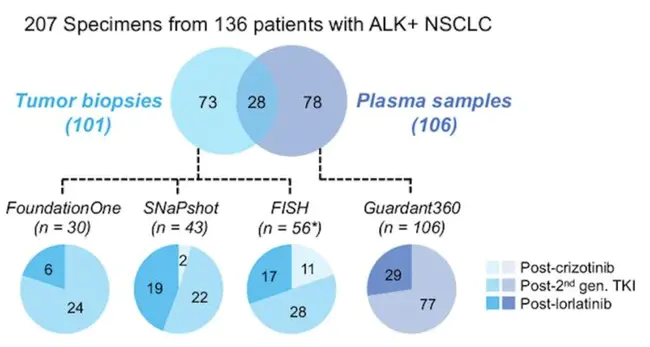 Targeted Anti-cancer Therapy : 靶向抗癌治疗