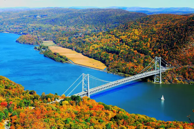 Hudson Valley Seed Library : 哈德逊谷种子库