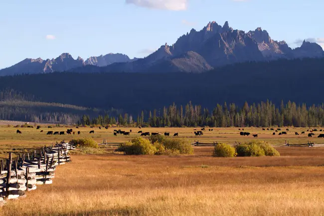 Sawtooth National Recreation Area : 锯齿国家娱乐区