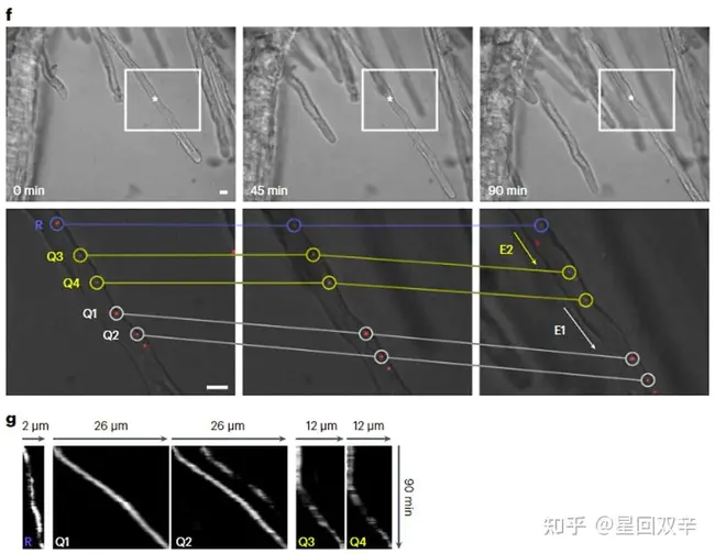 International Symposium on Biological Monitoring : 生物监测国际研讨会