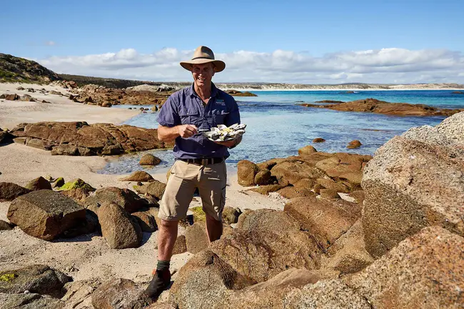 Fauna Rescue Whitsundays : 圣灵群岛动物救援