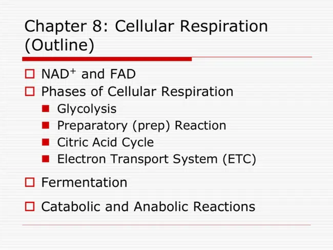 Biology Based Dose Response : 生物剂量反应