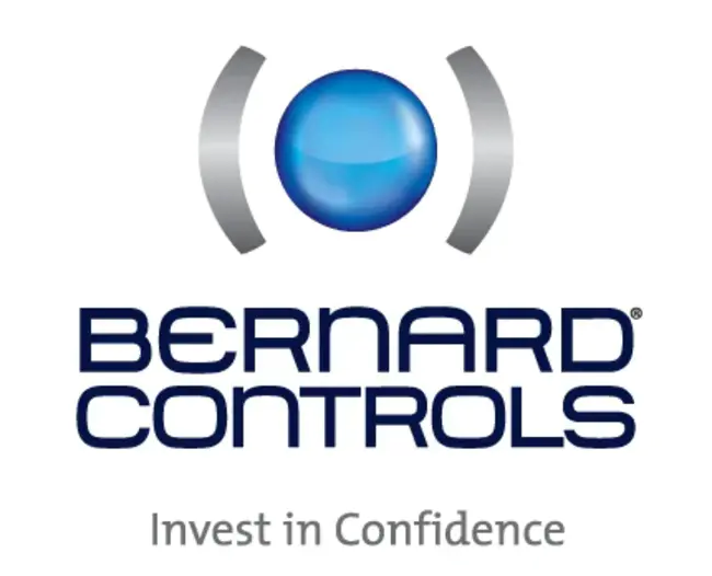 Bernard Technology Management Group : 伯纳德技术管理集团