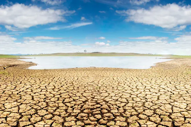 Water Scarcity and Drought Network : 缺水干旱网络