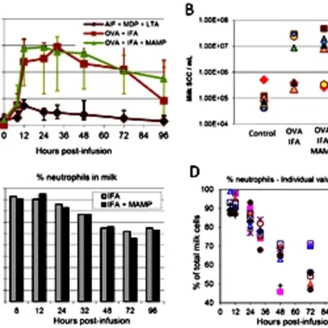 Bovine Leukocyte Adhesion Deficiency : 牛白细胞粘附缺陷