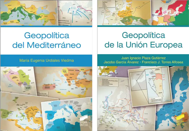 Taller de Estudios Internacionales Mediterráneos : 地中海国际研究研讨会