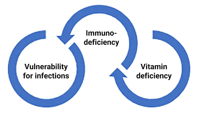 Disease Control and Environmental Health : 疾病控制与环境卫生