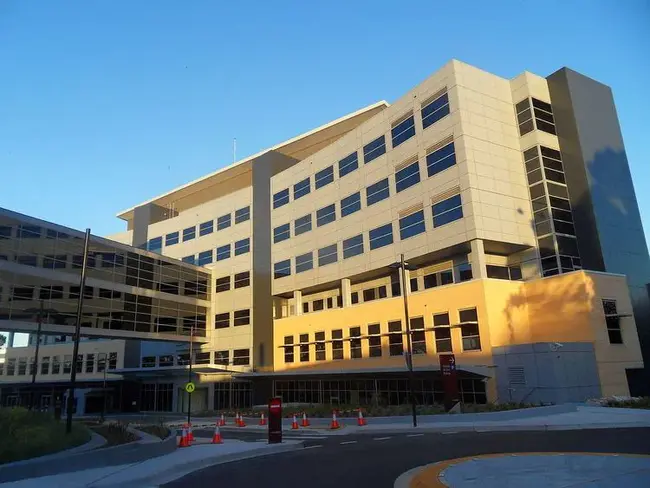 Macquarie University Hospital : 麦考瑞大学医院