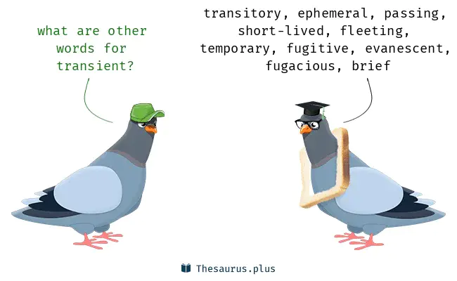 Transient Data Quene : 瞬态数据序列