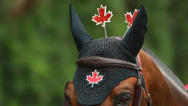 Canadian Interprovincial Equestrian Championships : 加拿大省际马术锦标赛