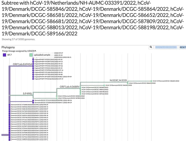 Percent Accepted Mutations : 接受突变的百分比