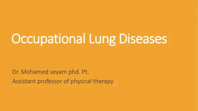 Association for Respiratory Technology Physiology : 呼吸技术生理学协会