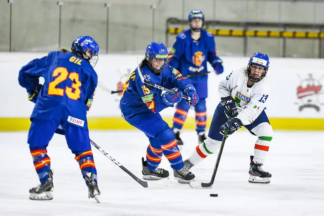 Young Neophytes Play Hockey : 年轻的新手打曲棍球