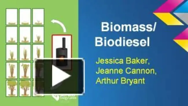 European Biodiesel Board : 欧洲生物柴油委员会