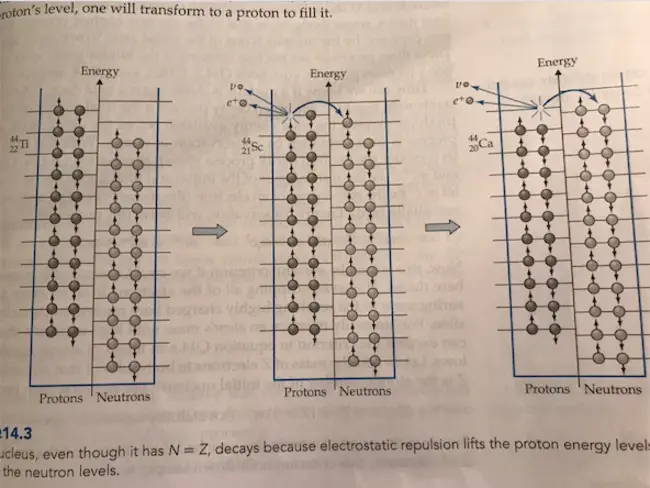 Division of Nuclear Physics : 核物理处