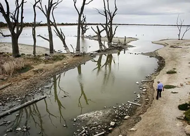 Southern Murray Darling Basin : 南墨累达令盆地