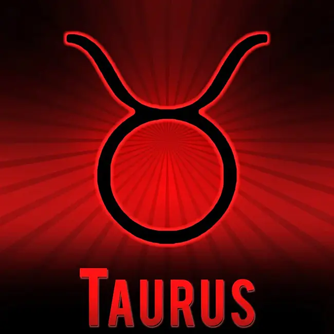 Taurus : 金牛座