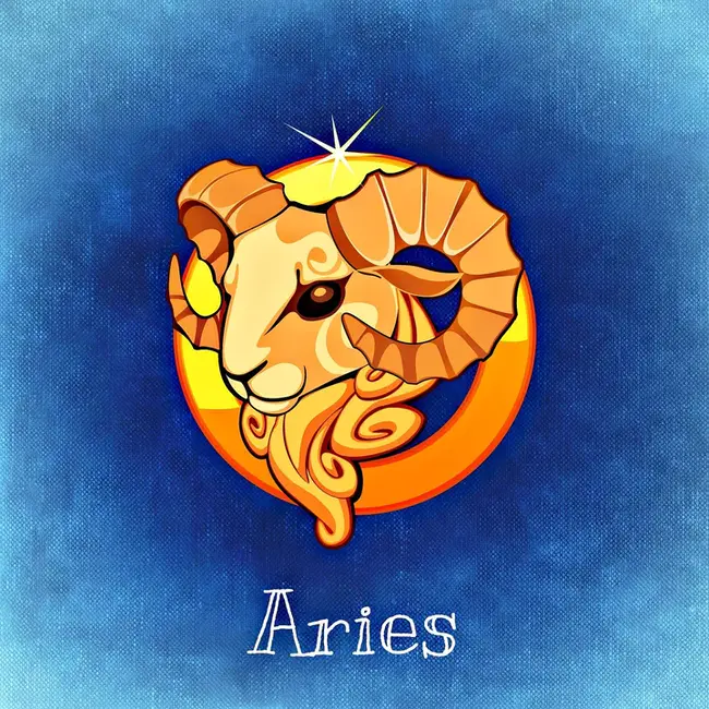 Aries : 白羊座