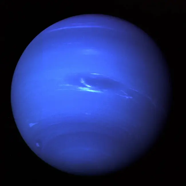 Neptune : 海王星