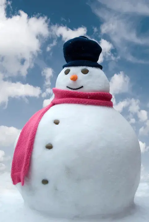 snowman : 雪人