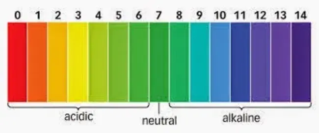 Alkali Silica Reactivity : 碱硅反应性