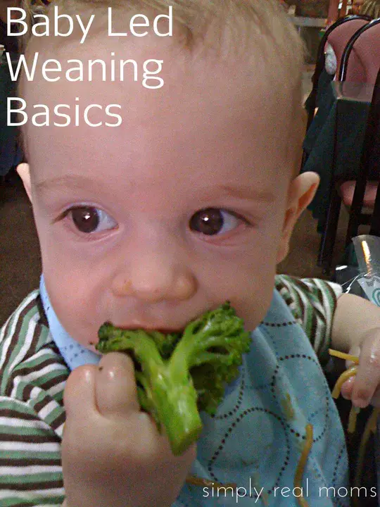 Baby Led Weaning : 婴儿主导断奶