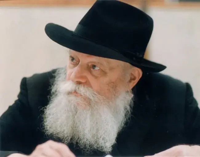 Lubavitcher Yeshiva Academy : 卢巴维奇叶史瓦学院