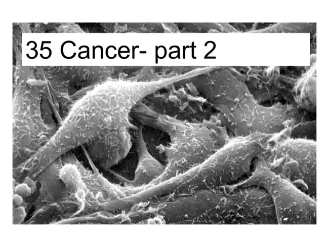 Cancer Genome Anatomy Project : 癌症基因组解剖学项目