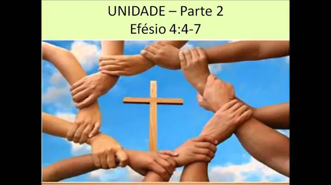 Unidade Acadêmica de Educação Infantil : 儿童教育学部