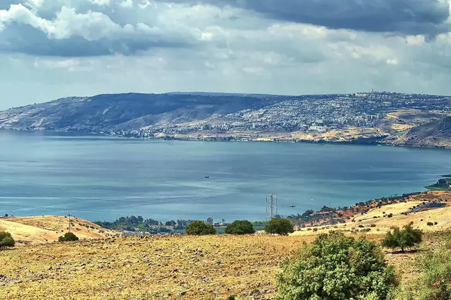 Kinneret Limnological Laboratory : 金内雷湖沼学实验室