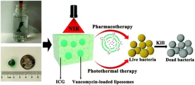 Antiradiation Homing : 反辐射寻的