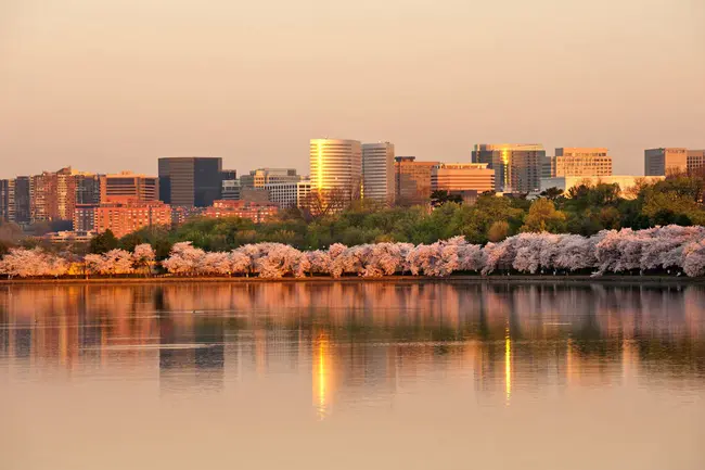 Arlington Fire District : 阿灵顿消防区