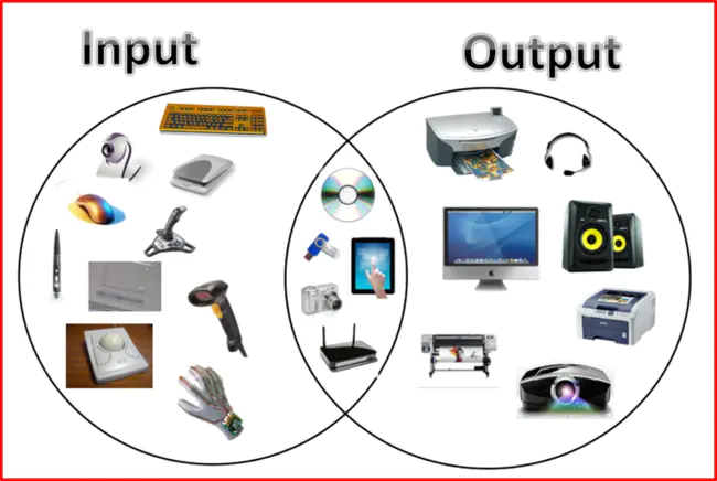 InputOutput : 输入输出