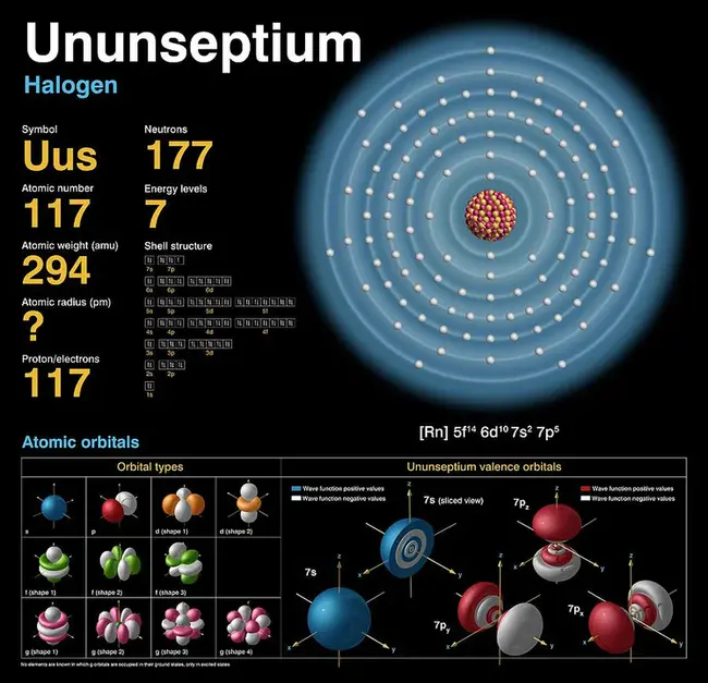 ununseptium : 单核细胞