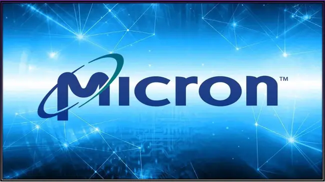 micron : 微米