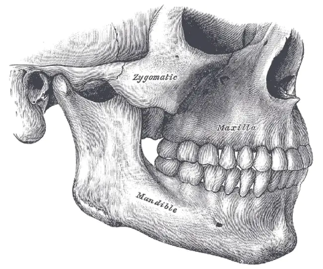 Human Anatomy and Physiology Society : 人体解剖生理学会