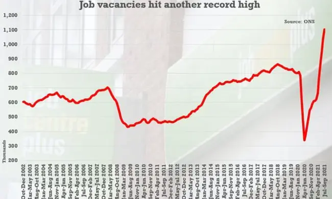 Long Term Sheltered Employment : 长期受保护就业