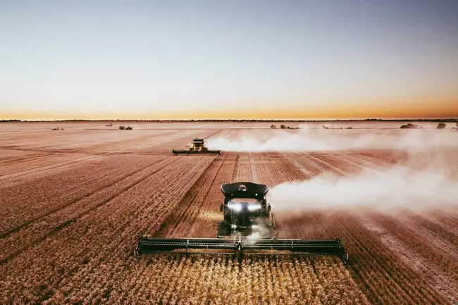 Farmers Grain Terminal : 农民粮食码头