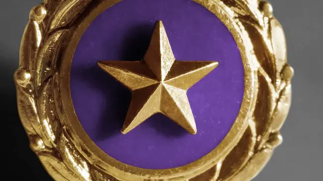 Gold Star Lapel Button : 金星翻领纽扣