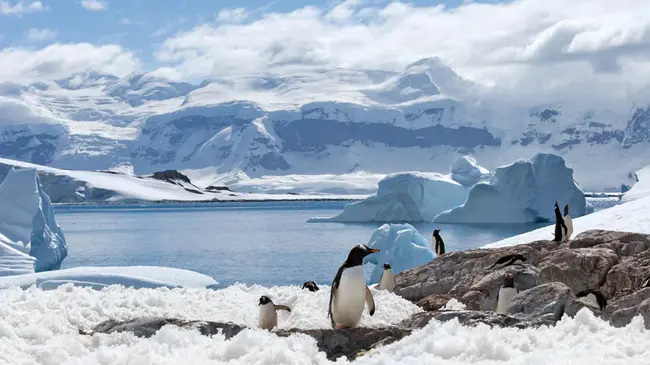 Australian Antarctic Expedition : 澳大利亚南极探险队